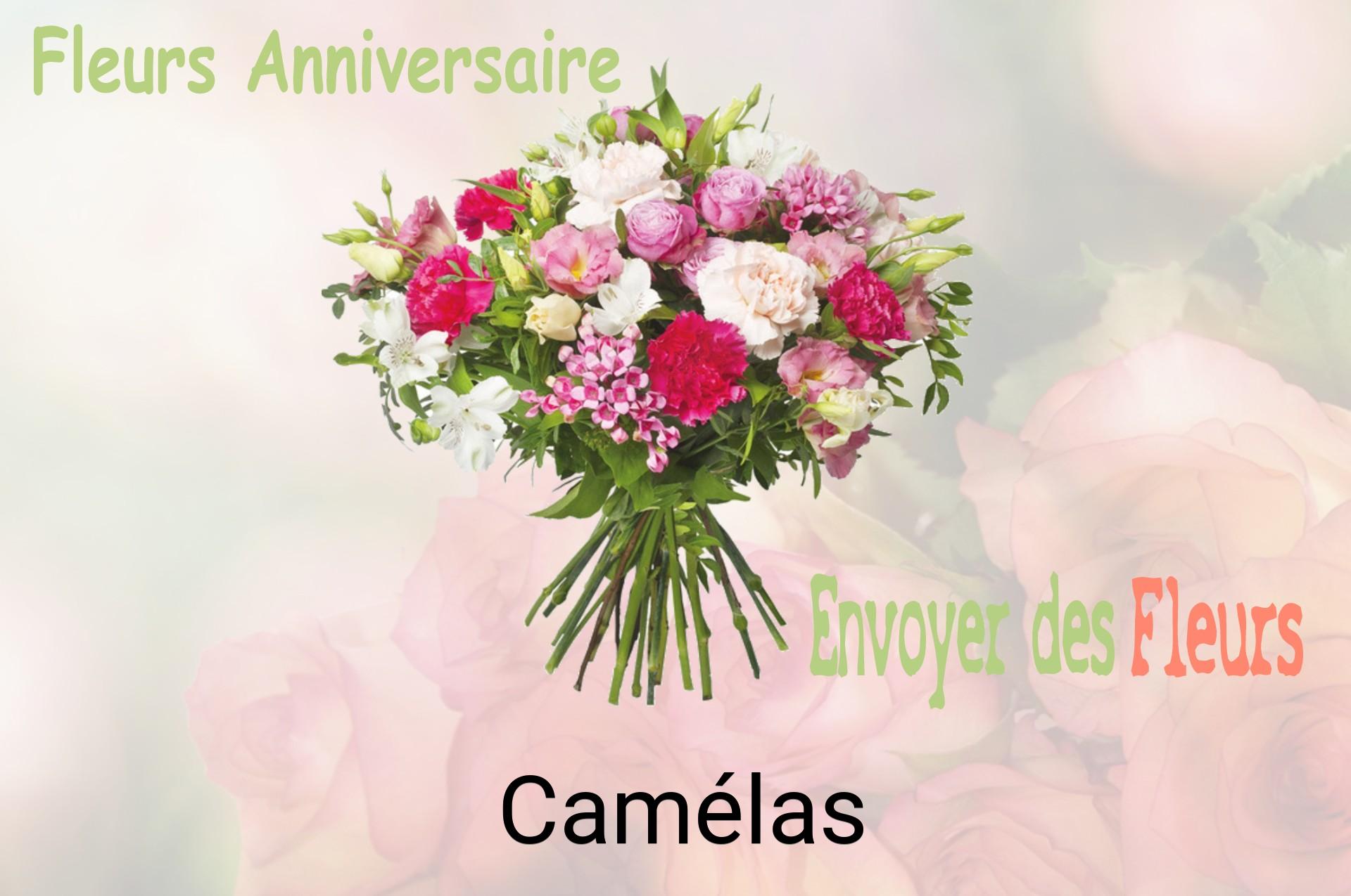 Bouquet de fleurs d’anniversaire livré à Camélas