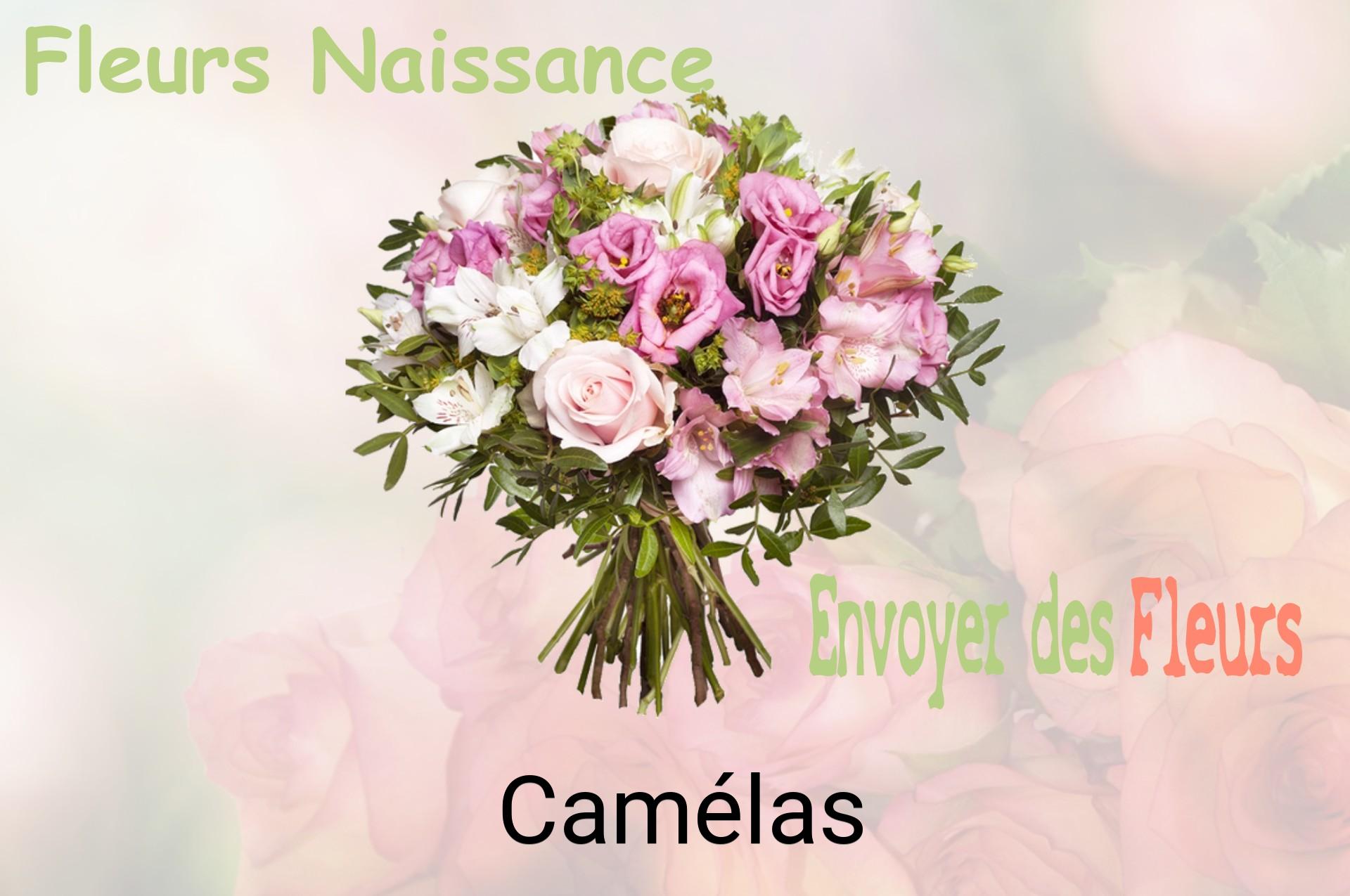 Bouquet de fleurs de naissance livré à Camélas