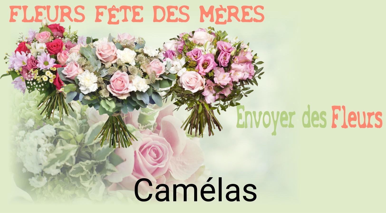 Bouquet de Fête des Mères livré à Camélas