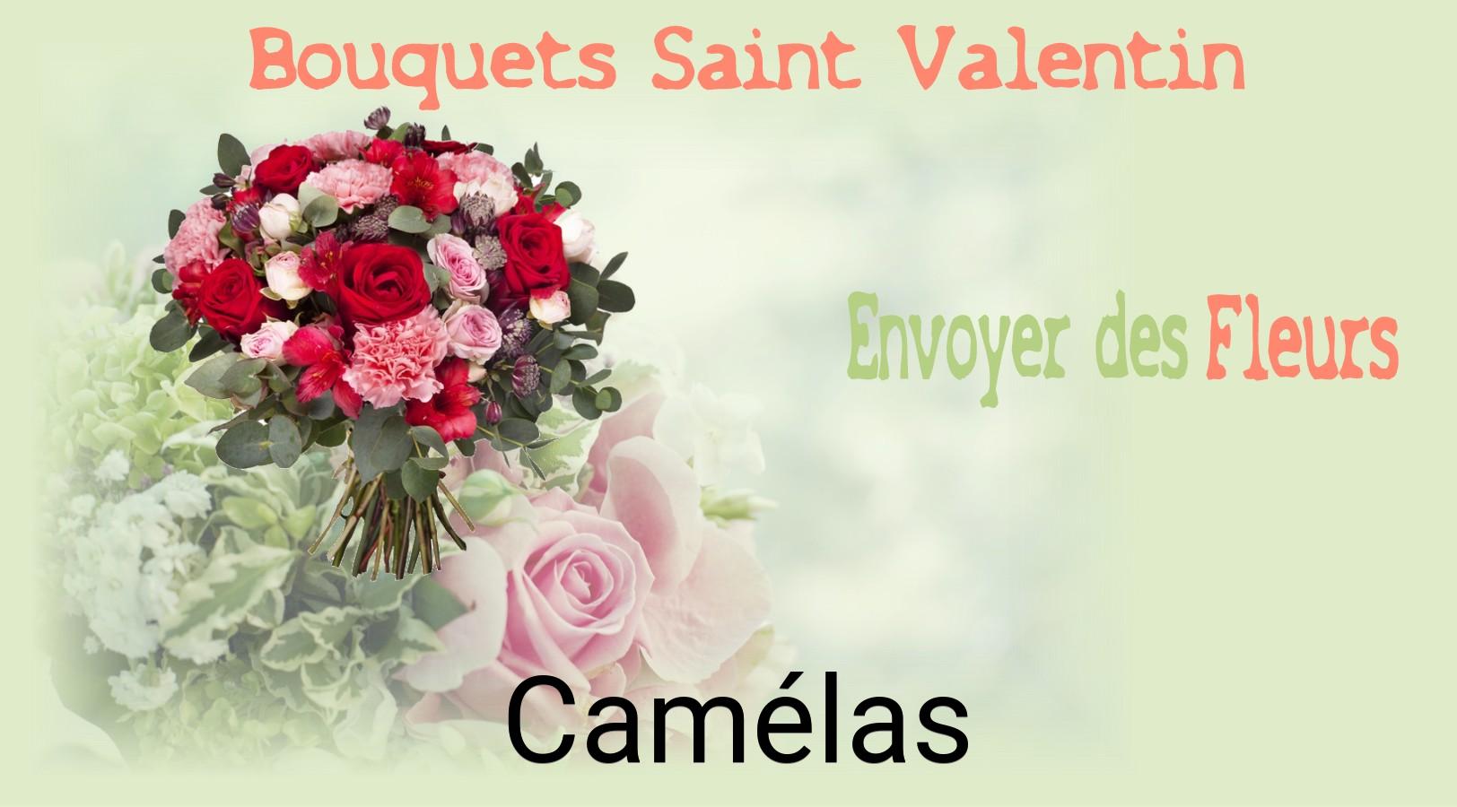 Roses de Saint-Valentin livrées à Camélas